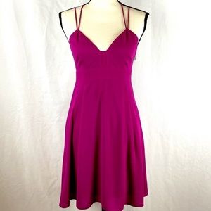 Express fuschia dress